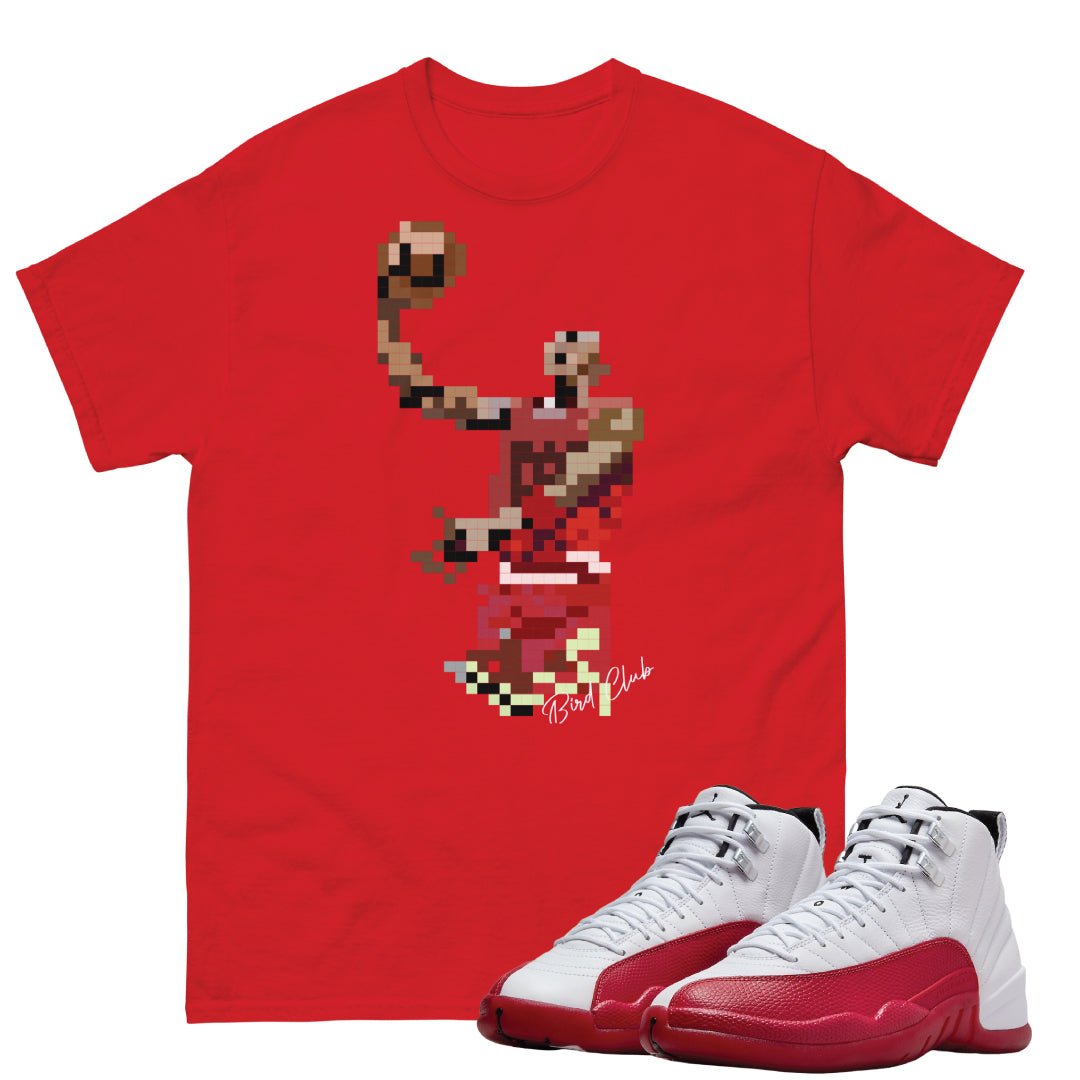 Jordan retro 12 shirt best sale