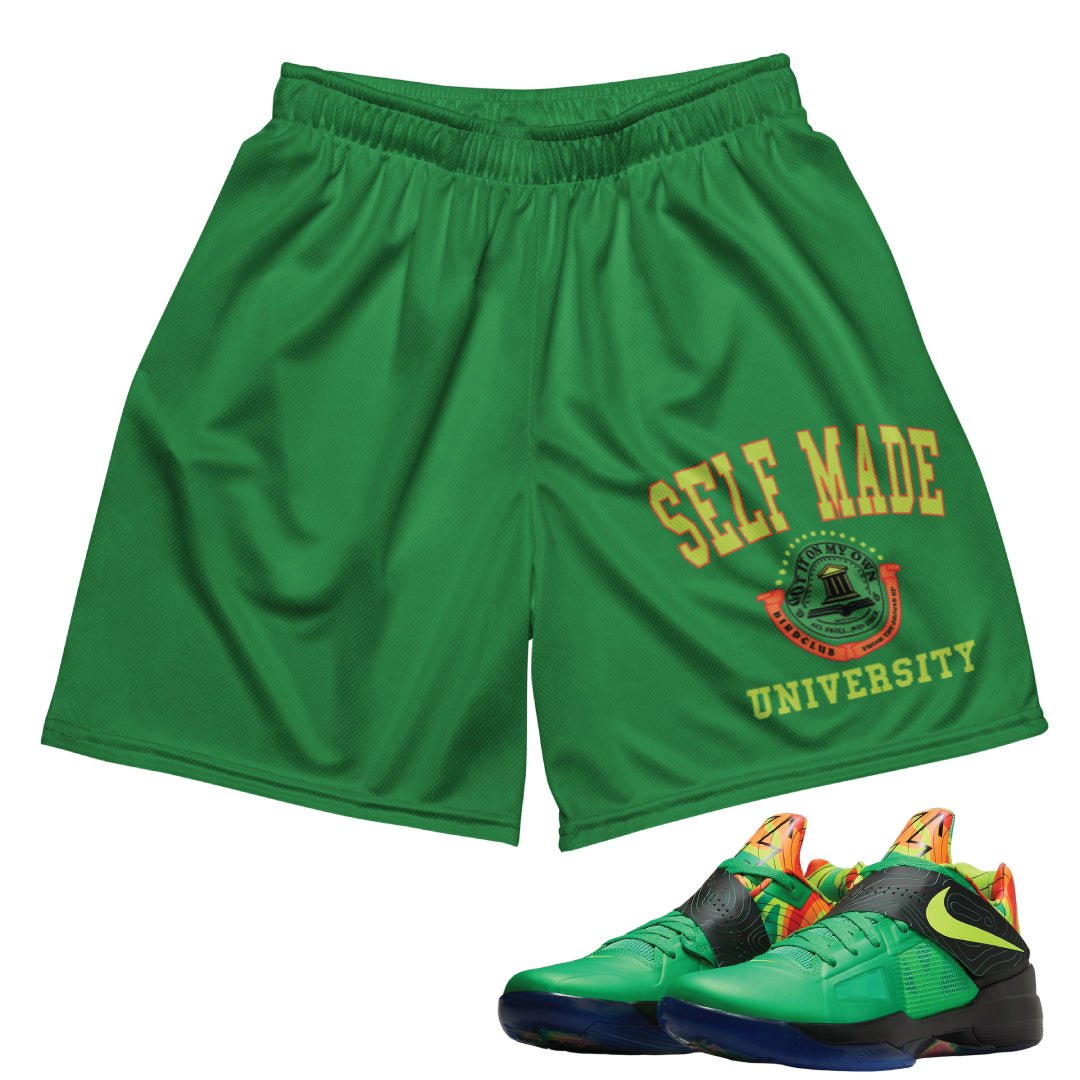 KD Weatherman Self Made Shorts Sneaker Tees to match Air Jordan Sneakers