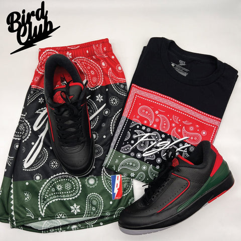 Retro 2 Low Gucci Paisley Mesh Shorts - Sneaker Tees to match Air Jordan Sneakers